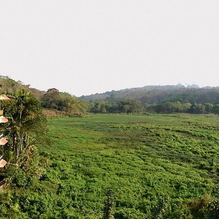 Jungle Palace Homestay Thekkady Exterior photo