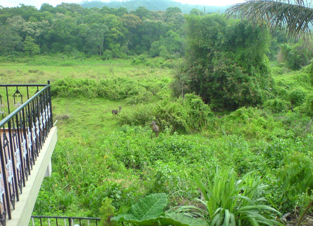 Jungle Palace Homestay Thekkady Exterior photo